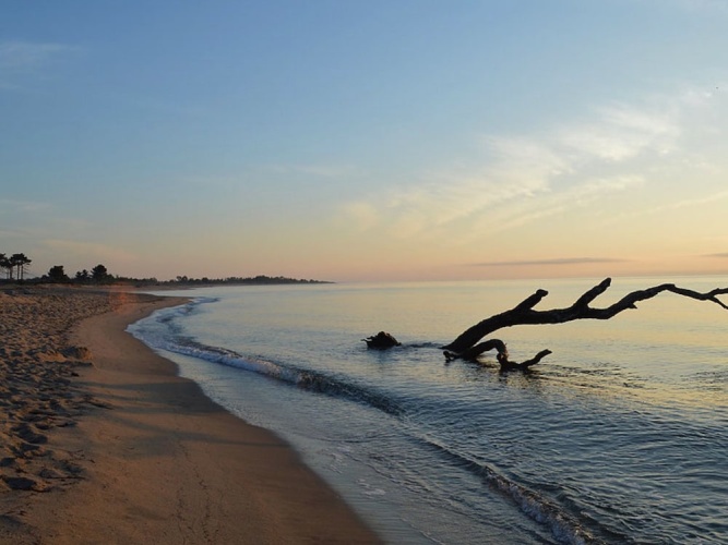 Beach