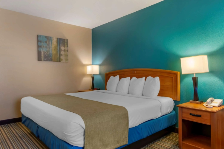 Standard Double room