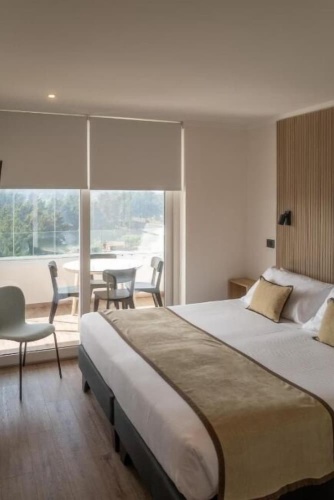 Standard Apartment with balcony and with city view