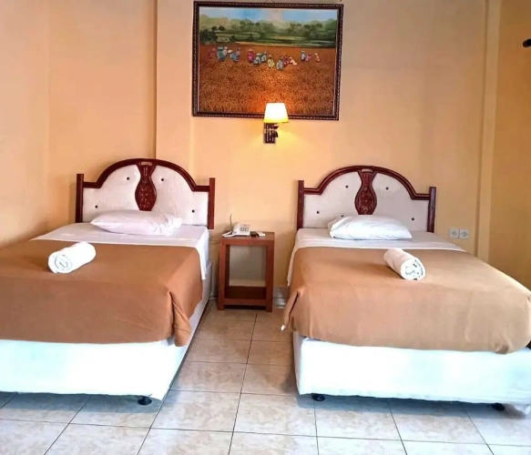 Deluxe Twin room with pool view