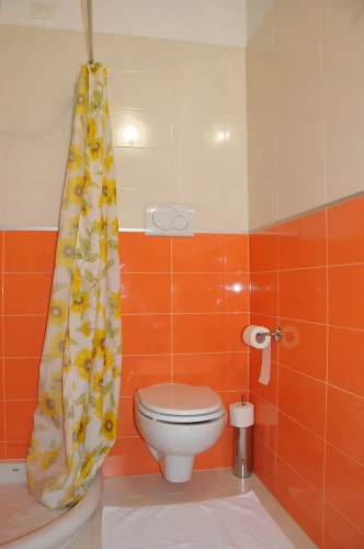 Standard Double room with balcony and with view