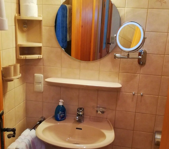 1 Bedroom Standard room with balcony and with mountain view