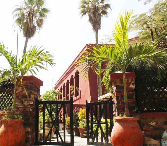 Gallé Niwa
