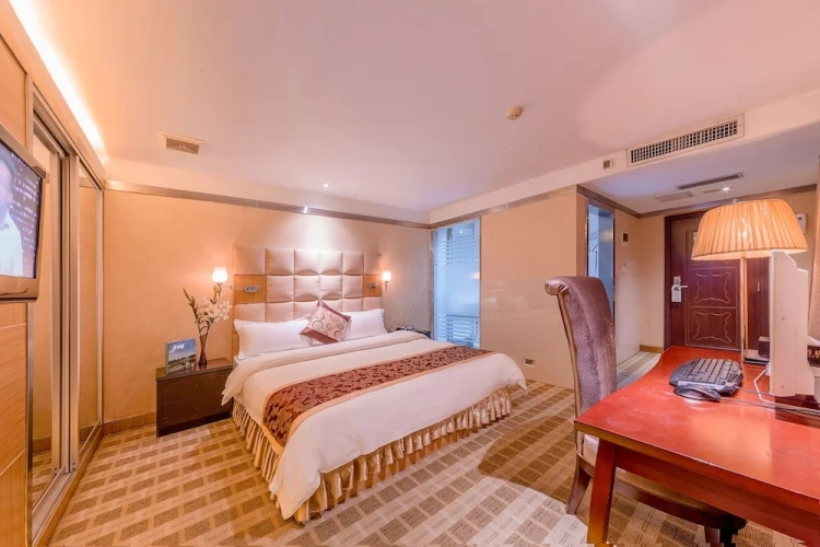 Deluxe Single room