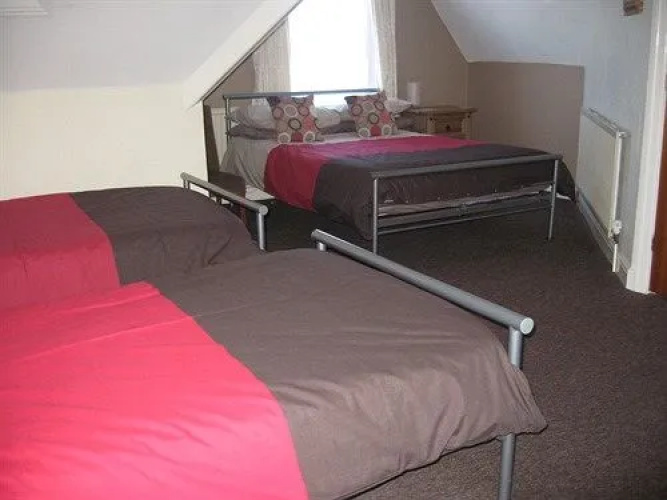 The Elmfield