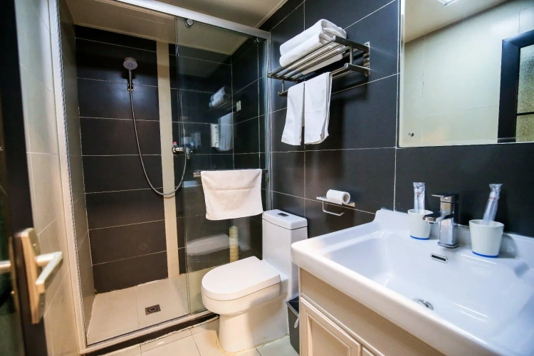 Superior Twin room with city view
