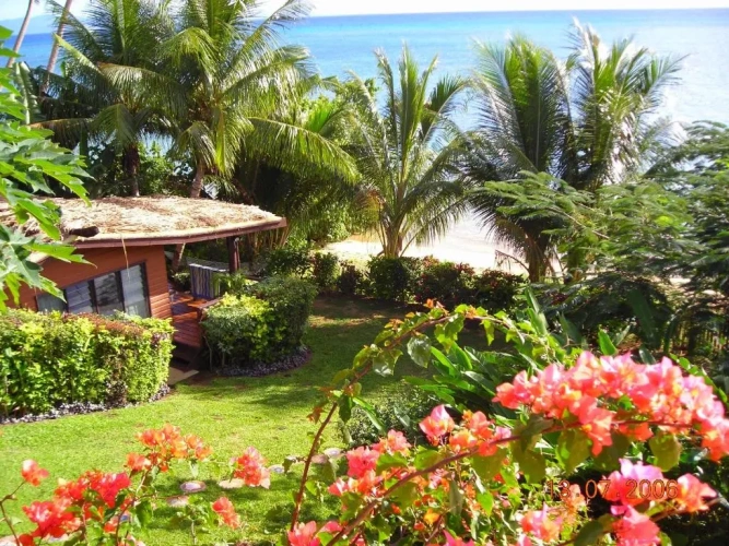 Bungalow beachfront