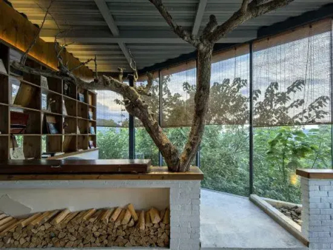 Chongqing Starlight B&B under the Hawthorn Tree