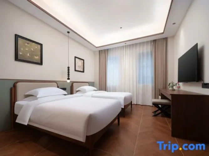 Standard Twin room with city view