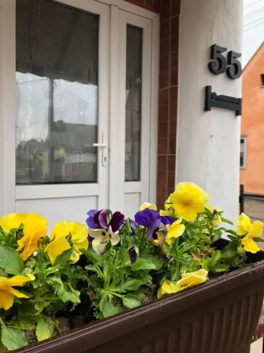 KRIN apartman