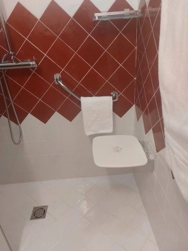 1 Bedroom Luxury room with park view