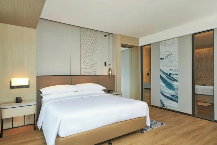 Deluxe Double Suite with city view