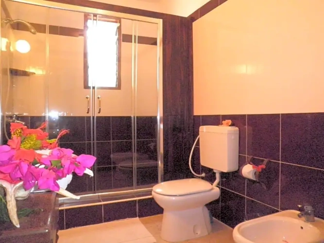 Standard Double Family room