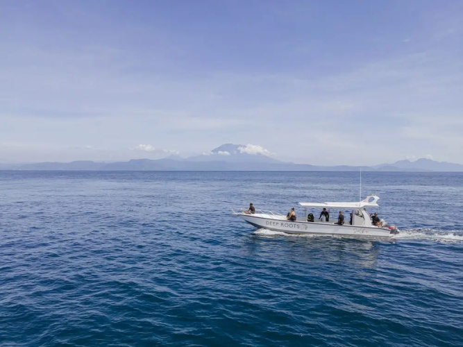 Deep Roots Dive & Yoga Resort