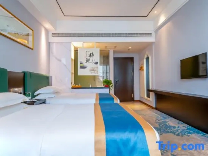 Standard Twin room with city view