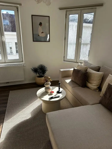 Modern 1BR plus LR Apt Near Gravensteen