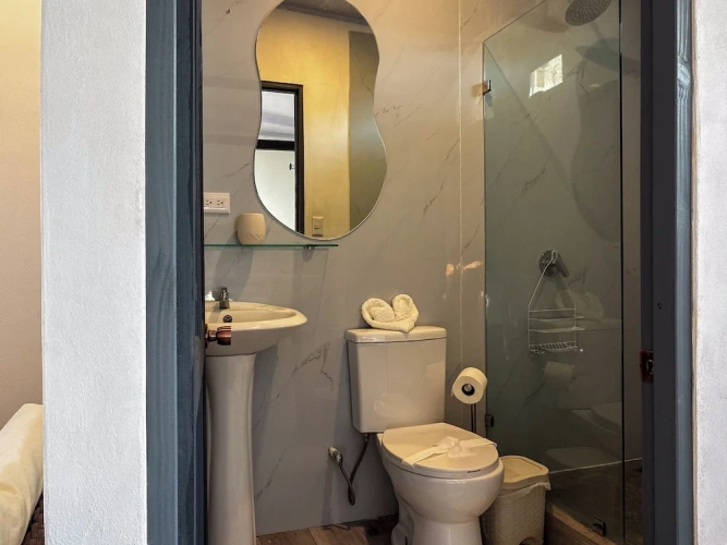 Standard Suite
