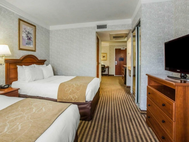Twin Suite