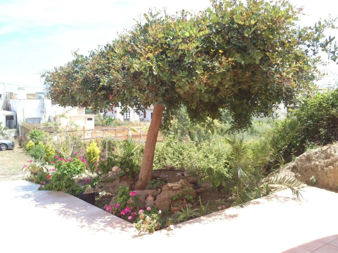 Kalimera Hotel Agia Marina