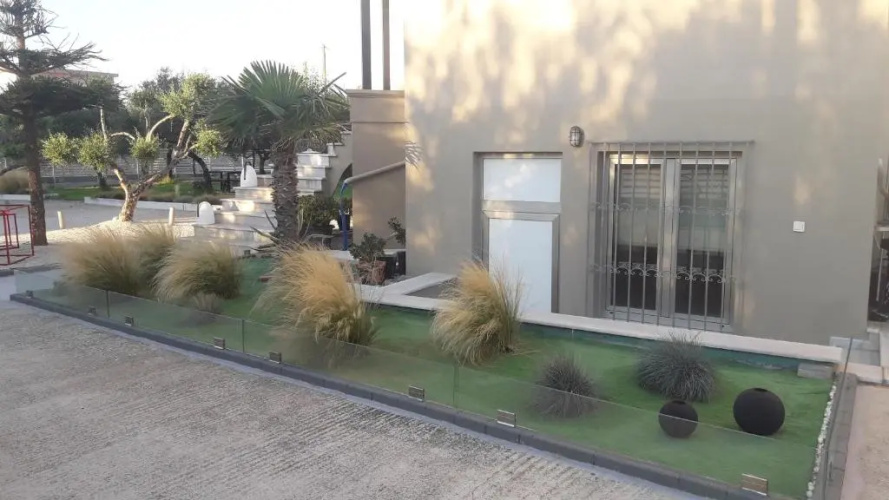 3 Olive Trees