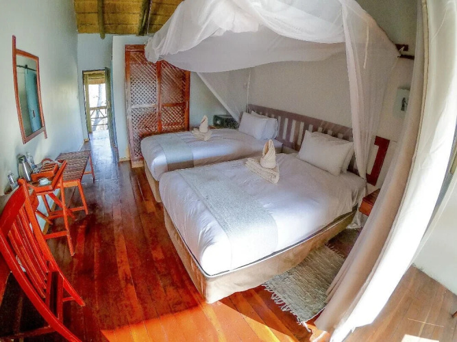 Chobe Mopani Forest Lodge & Camp site