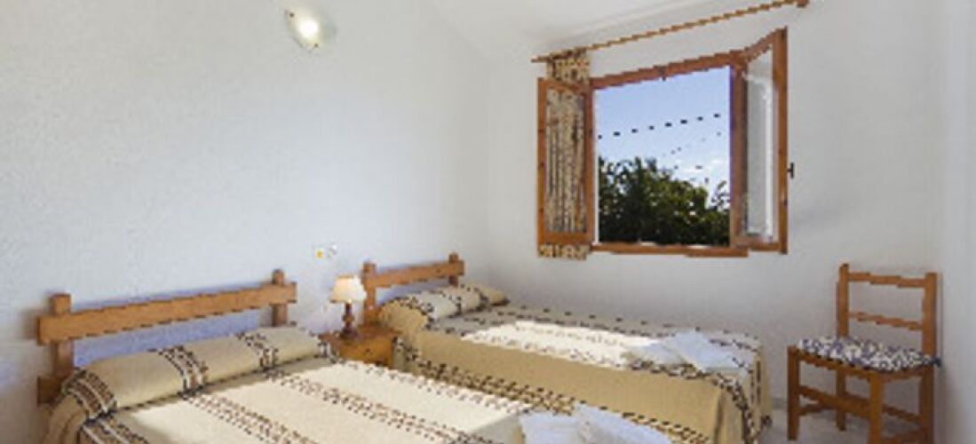 Las Palmeras n 5Over view