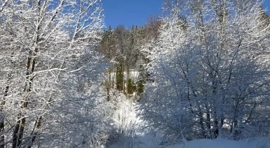Domek Stasikówka