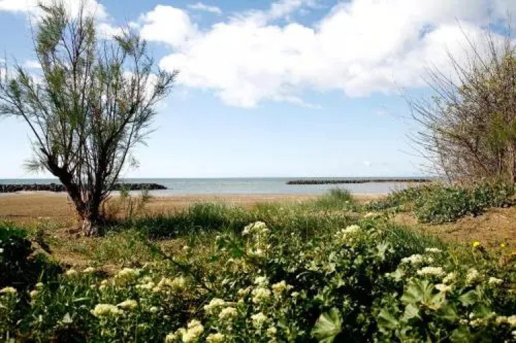 Residence les Sables D'Or