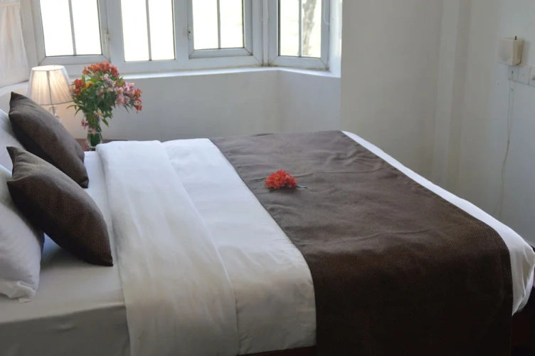Standard Twin room with balcony and with view