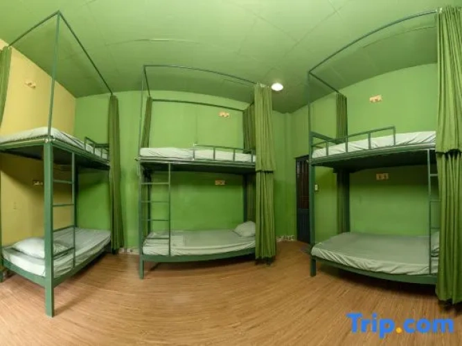 Bed in Dorm