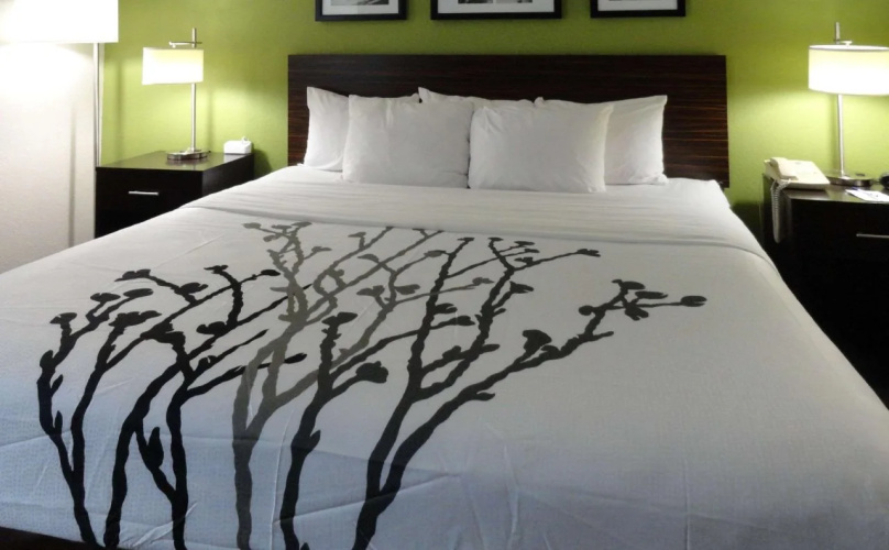Sleep Inn & Suites Columbus - State University Area