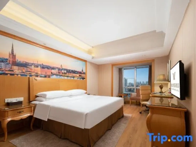 Deluxe Single Suite