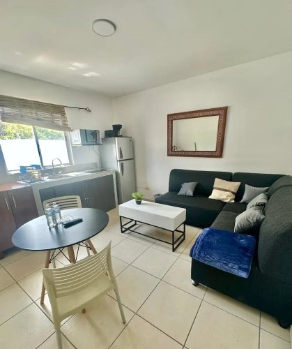 Classic Apartment