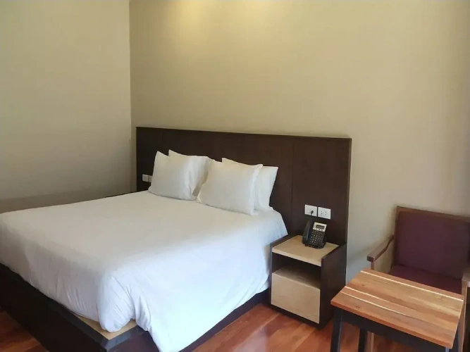 Deluxe Double room with balcony and with mountain view