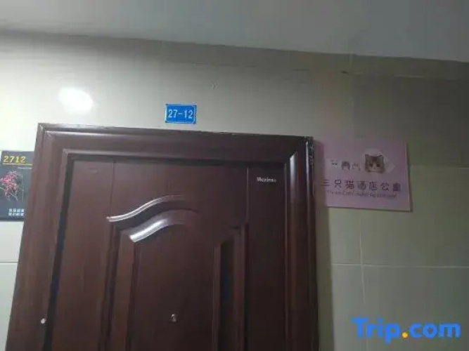 Three Cat Apartment