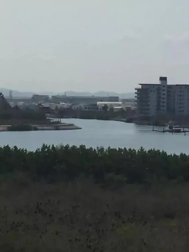 Depa Torre Marina