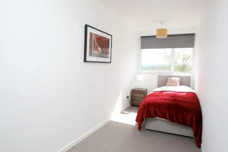 Standard Single room