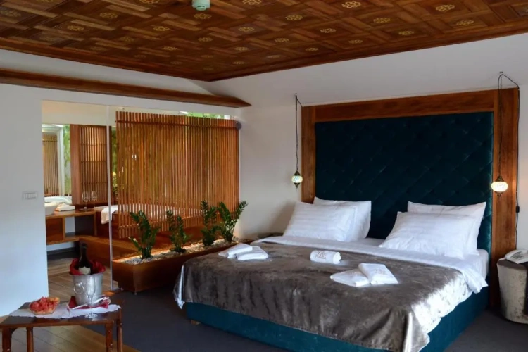 Deluxe Double room with balcony and with view