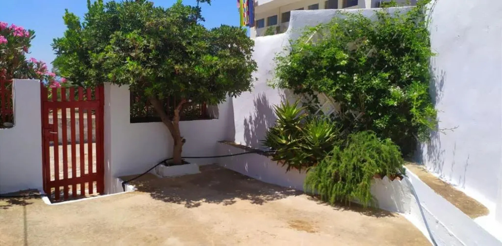 Almond trees house