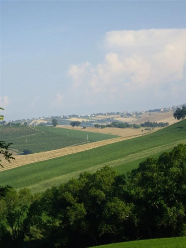 La Quercia del Saggio