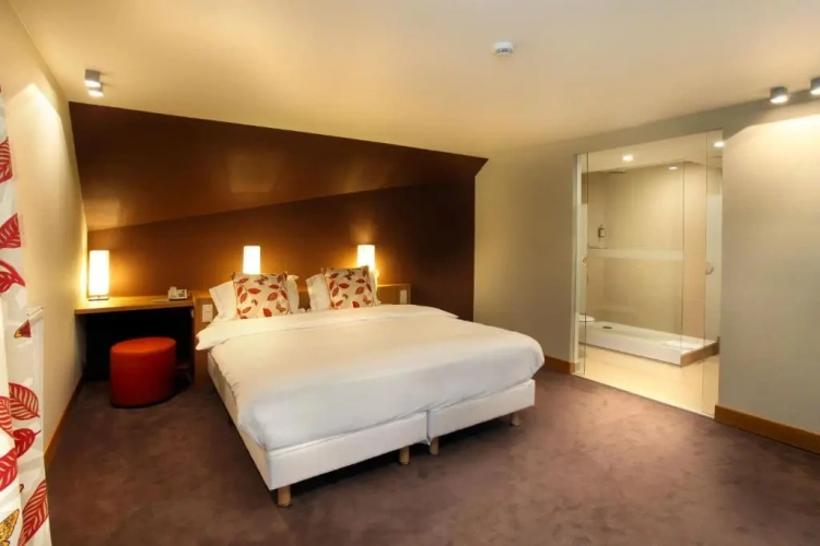 Standard Double room with lake view