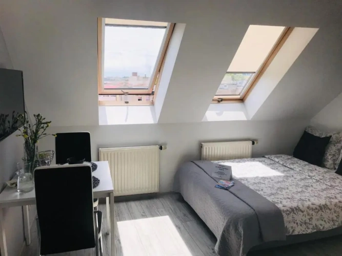 Penthouse Apartment
