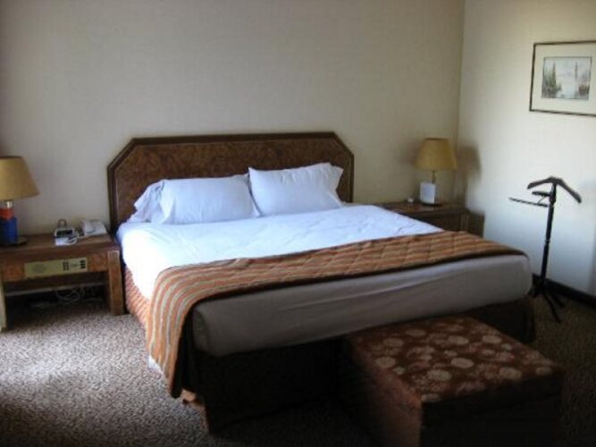 Sheraton DamascusOver view