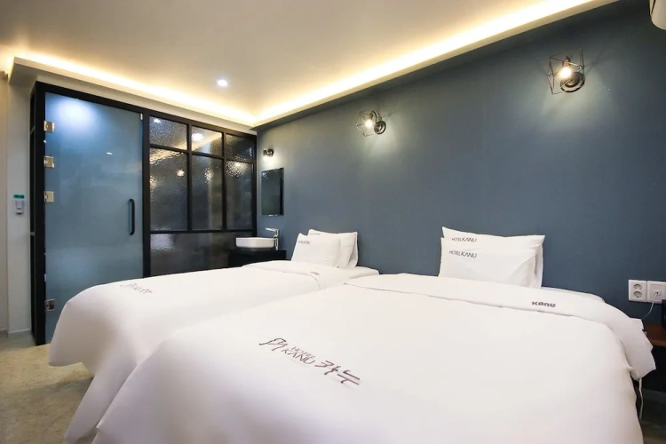 Premium Twin room