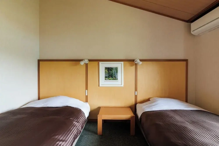 Standard Twin room with balcony