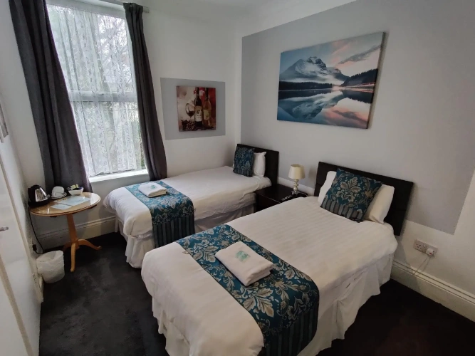 Deluxe Twin room