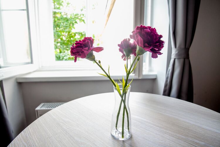 Zagreb City Vibe Apartments & RoomsOver view