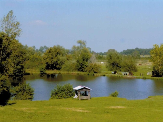 Standard Double room with garden view