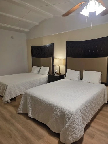Comfort Double room with garden view