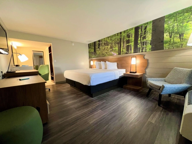 Guest rooms